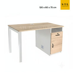 โต๊ะทำงานมินิมอล ขาเหล็ก มีช่องเก็บของ 1 ลิ้นชัก 1 ตู้เก็บของ